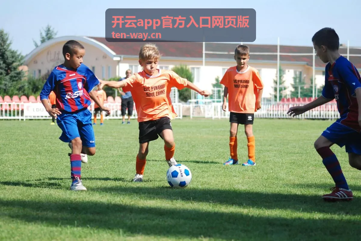 开云app官方入口网页版使用指南