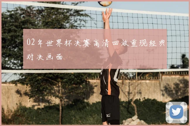 02年世界杯决赛高清回放重现经典对决画面