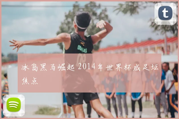 冰岛黑马崛起 2014年世界杯成足坛焦点